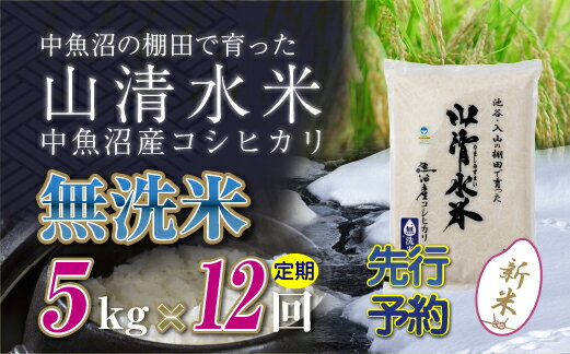 22位! 口コミ数「0件」評価「0」【新米先行受付】【定期便／全12回】無洗米5kg　新潟県魚沼産コシヒカリ「山清水米」　【定期便・十日町市】　お届け：2024年10月上旬から･･･ 