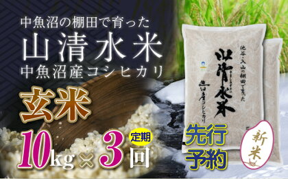 【新米先行受付】【定期便／全3回】玄米10kg　新潟県魚沼産コシヒカリ「山清水米」　【定期便・十日町市】　お届け：2024年10月上旬から順次発送します。