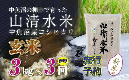 【ふるさと納税】【新米先行受付】【定期便／全3回】玄米3kg　新潟県魚沼産コシヒカリ「山清水米」　【定期便・十日町市】　お届け：2024年10月上旬から順次発送します。