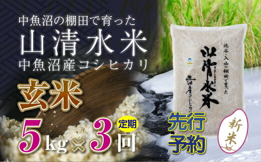 【ふるさと納税】【新