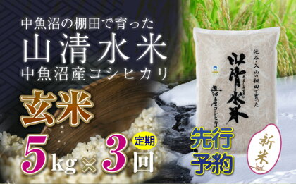 【新米先行受付】【定期便／全3回】玄米5kg　新潟県魚沼産コシヒカリ「山清水米」　【定期便・十日町市】　お届け：2024年10月上旬から順次発送します。