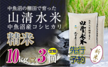 【新米先行受付】【定期便／全3回】精米10kg　新潟県魚沼産コシヒカリ「山清水米」　【定期便・十日町市】　お届け：2024年10月上旬から順次発送します。