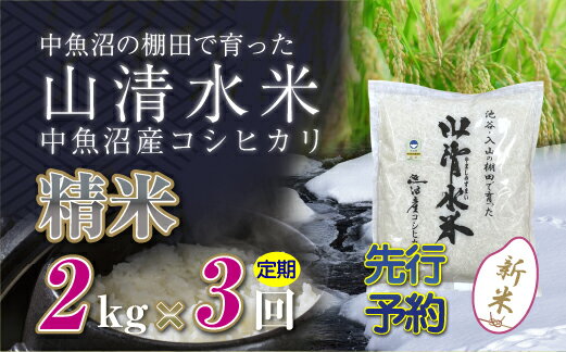 【ふるさと納税】【新米先行受付】【定期便／全3回】精米2kg　新潟県魚沼産コシヒカリ「山清水米」　【定期便・十日町市】　お届け：2024年10月上旬から順次発送します。