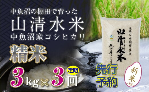 【ふるさと納税】【新米先行受付】【定期便／全3回】精米3kg　新潟県魚沼産コシヒカリ「山清水米」　【定期便・十日町市】　お届け：2024年10月上旬から順次発送します。