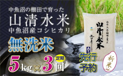 【新米先行受付】【定期便／全3回】無洗米5kg　新潟県魚沼産コシヒカリ「山清水米」　【定期便・十日町市】　お届け：2024年10月上旬から順次発送します。