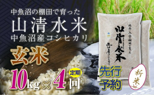 【ふるさと納税】【新