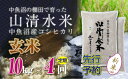 【ふるさと納税】【新米先行受付】【定期便／全4回】玄米10kg　新潟県魚沼産コシヒカリ「山清水米」　【定期便・十日町市】　お届け：2024年10月上旬から順次発送します。