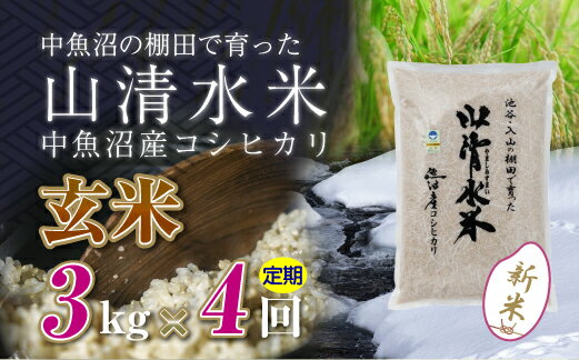 【ふるさと納税】【定
