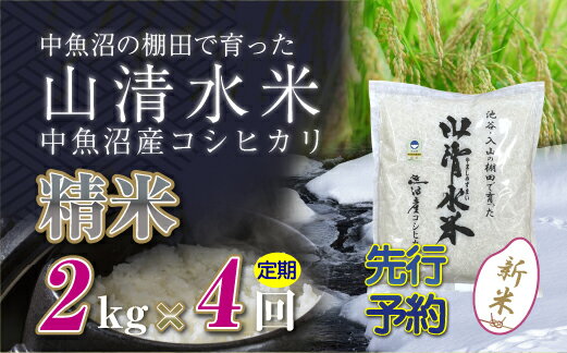 47位! 口コミ数「0件」評価「0」【新米先行受付】【定期便／全4回】精米2kg　新潟県魚沼産コシヒカリ「山清水米」　【定期便・十日町市】　お届け：2024年10月上旬から順次･･･ 