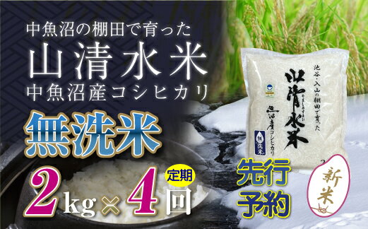 【ふるさと納税】【新米先行受付】【定期便／全4回】無洗米2kg　新潟県魚沼産コシヒカリ「山清水米」　【定期便・十日町市】　お届け：2024年10月上旬から順次発送します。