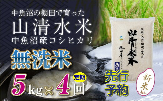 29位! 口コミ数「0件」評価「0」【新米先行受付】【定期便／全4回】無洗米5kg　新潟県魚沼産コシヒカリ「山清水米」　【定期便・十日町市】　お届け：2024年10月上旬から順･･･ 