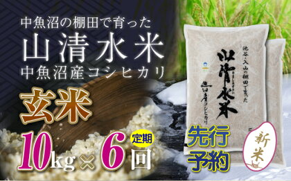 【新米先行受付】【定期便／全6回】玄米10kg　新潟県魚沼産コシヒカリ「山清水米」　【定期便・十日町市】　お届け：2024年10月上旬から順次発送します。