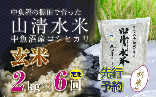 【ふるさと納税】【新米先行受付】【定期便／全6回】玄米2kg　新潟県魚沼産コシヒカリ「山清水米」　...