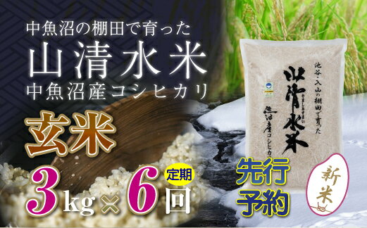 【ふるさと納税】【新米先行受付】【定期便／全6回】玄米3kg　新潟県魚沼産コシヒカリ「山清水米」　【定期便・十日町市】　お届け：2024年10月上旬から順次発送します。