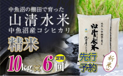 【新米先行受付】【定期便／全6回】精米10kg　新潟県魚沼産コシヒカリ「山清水米」　【定期便・十日町市】　お届け：2024年10月上旬から順次発送します。