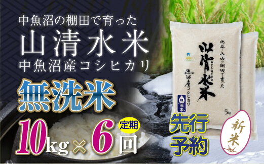 【ふるさと納税】【新米先行受付】【定期便／全6回】無洗米10kg　新潟県魚沼産コシヒカリ「山清水米」　【定期便・十日町市】　お届け：2024年10月上旬から順次発送します。