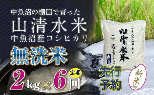 【ふるさと納税】【新米先行受付】【定期便／全6回】無洗米2kg　新潟県魚沼産コシヒカリ「山清水米」　【定期便・十日町市】　お届け：2024年10月上旬から順次発送します。