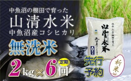 【新米先行受付】【定期便／全6回】無洗米2kg　新潟県魚沼産コシヒカリ「山清水米」　【定期便・十日町市】　お届け：2024年10月上旬から順次発送します。