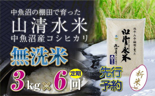 【ふるさと納税】【新米先行受付】【定期便／全6回】無洗米3kg　新潟県魚沼産コシヒカリ「山清水米」...