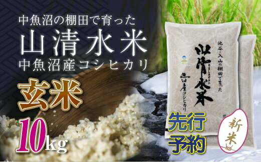 【ふるさと納税】【新米先行受付】新潟県魚沼産コシヒカリ「山清水米」玄米10kg　【十日町市】　お届け：2024年10月上旬から順次発送します。