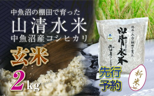 【ふるさと納税】【新米先行受付】新潟県魚沼産コシヒカリ「山清水米」玄米2kg　【十日町市】　お届け：2024年10月上旬から順次発送します。