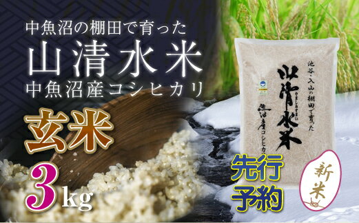 【ふるさと納税】【新米先行受付】新潟県魚沼産コシヒカリ「山清水米」玄米3kg　【十日町市】　お届け：2024年10月上旬から順次発送します。