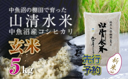 【新米先行受付】新潟県魚沼産コシヒカリ「山清水米」玄米5kg　【十日町市】　お届け：2024年10月上旬から順次発送します。