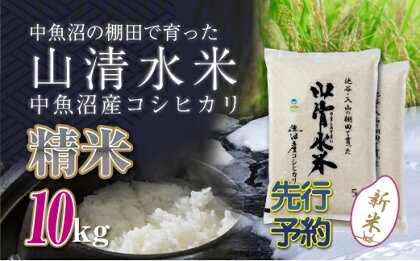 【新米先行受付】新潟県魚沼産コシヒカリ「山清水米」精米10kg　【十日町市】　お届け：2024年10月上旬から順次発送します。