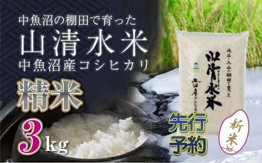 【ふるさと納税】【新米先行受付】新潟県魚沼産コシヒカリ「山清