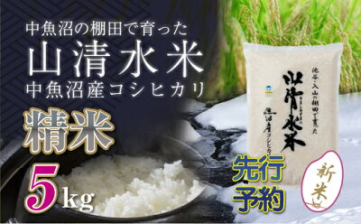 楽天ふるさと納税　【ふるさと納税】【新米先行受付】新潟県魚沼産コシヒカリ「山清水米」精米5kg　【十日町市】　お届け：2024年10月上旬から順次発送します。