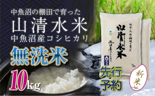 【ふるさと納税】【新米先行受付】新潟県魚沼産コシヒカリ「山清水米」無洗米10kg　【十日町市】　お届け：2024年10月上旬から順次発送します。