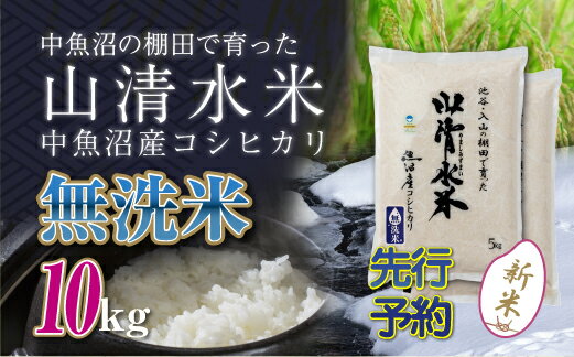 【ふるさと納税】【先行新米予約】新潟県魚沼産コシヒカリ「山清水米」無洗米10kg お届け:寄附入金確認後、10月上旬から順次発送します。
