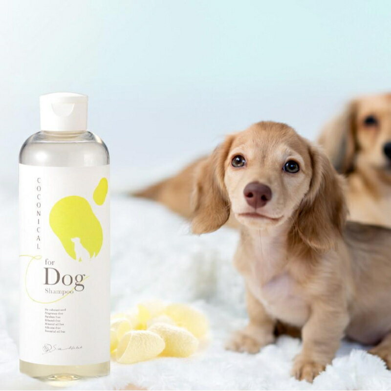 4位! 口コミ数「0件」評価「0」《絹生活研究所》COCONICAL for Dogシャンプー　【 犬 シャンプー 】　お届け：順次発送