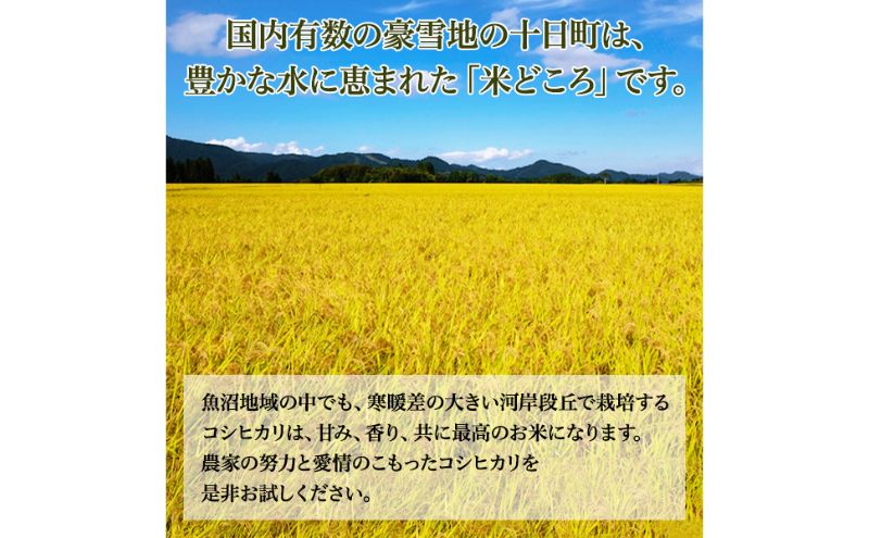 【ふるさと納税】【2025年度産】魚沼産特別栽培米コシヒカリ 10kg お米 おこめ こめ 精米 白米 こしひかり 新潟 　お届け：2025年10月中旬～2026年10月中旬まで