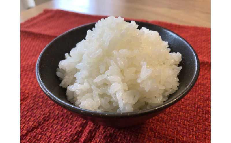 【ふるさと納税】【2025年度産】魚沼産特別栽培米コシヒカリ 10kg お米 おこめ こ...