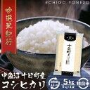 12位! 口コミ数「0件」評価「0」【定期便】魚沼十日町コシヒカリ5kg x 12回　【定期便・ お米 米 コメ コシヒカリ 】