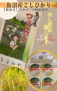 魚沼産コシヒカリ特上米5kg×6回定期便 [定期便・ 米 お米 おこめ こめ 精米 白米 コシヒカリ こしひかり 6ヶ月 お楽しみ 新潟 ] お届け:通年:ご寄付のご入金後、1回目は2週間以内に発送いたします。(2ヶ月に1回、計6回お届けします)