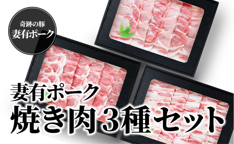 【ふるさと納税】【魚沼銘柄豚】妻有ポーク焼き肉3種セット　【 肉 お肉 豚 豚肉 ポーク セット 詰め合わせ 焼肉セット 焼き肉 焼肉 新潟 】　お届け：準備でき次第、順次発送