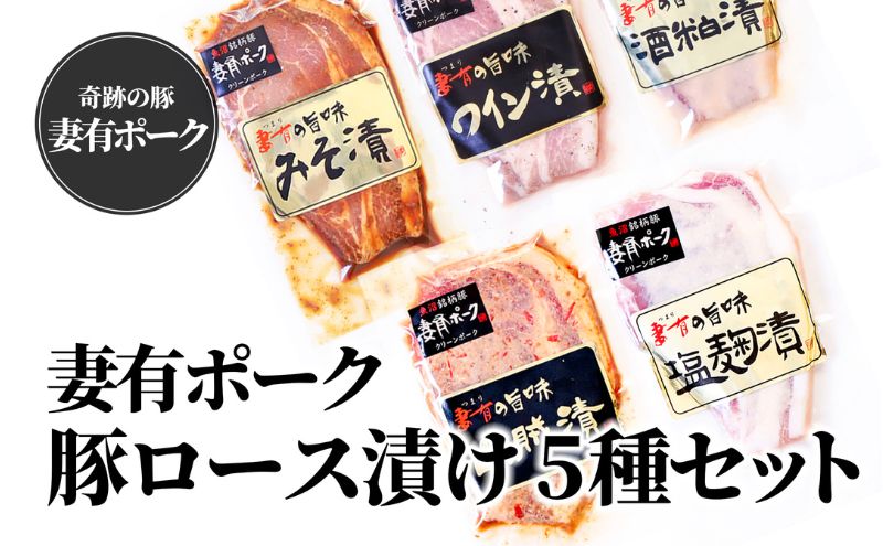 【ふるさと納税】【魚沼銘柄豚】妻有ポーク 豚ロース食べ比べ 5種セット（各100g）　【 肉 お肉 豚 豚肉 豚ロース ロース セット 詰め合わせ 新潟 】　お届け：準備でき次第、順次発送 2