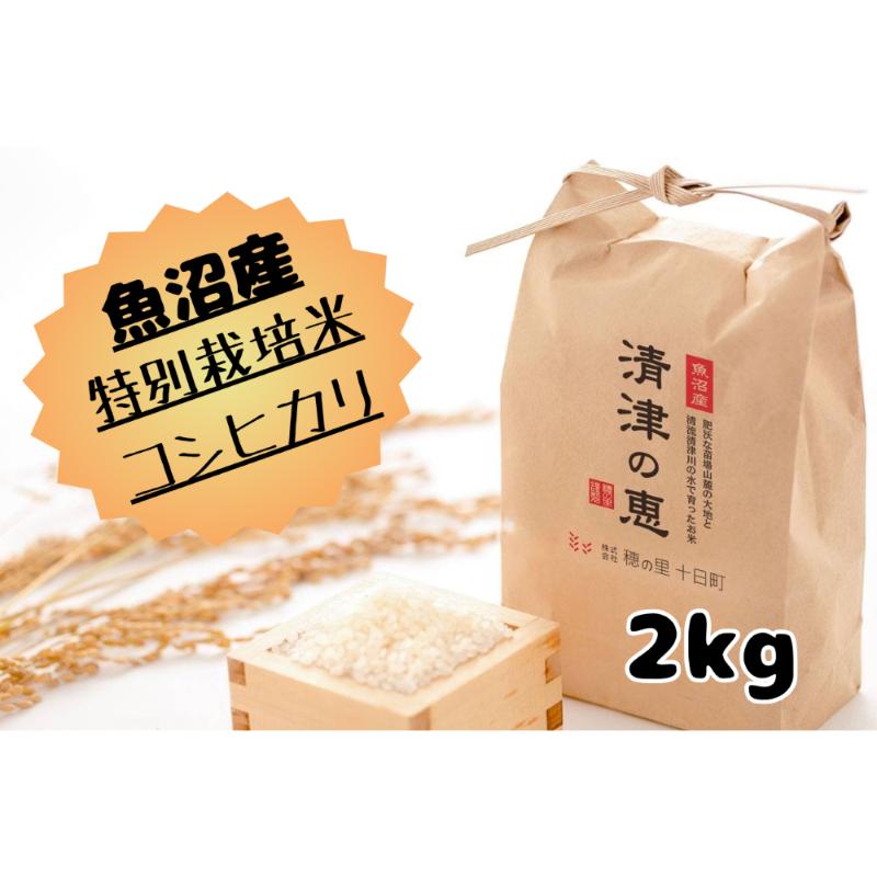 [令和5年産]魚沼産特別栽培米コシヒカリ[清津の恵]精米2kg(1kgx2袋) [ 米 お米 コメ おこめ こめ 精米 コシヒカリ こしひかり 2kg 新潟 ] お届け:ご入金確認後、順次配送