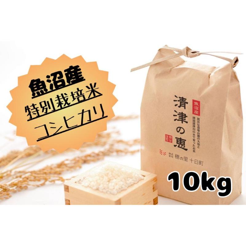 30位! 口コミ数「0件」評価「0」【令和5年産】魚沼産特別栽培米コシヒカリ［清津の恵］精米10kg（5kgx2袋）　【 米 お米 コメ おこめ こめ 精米 コシヒカリ こしひ･･･ 