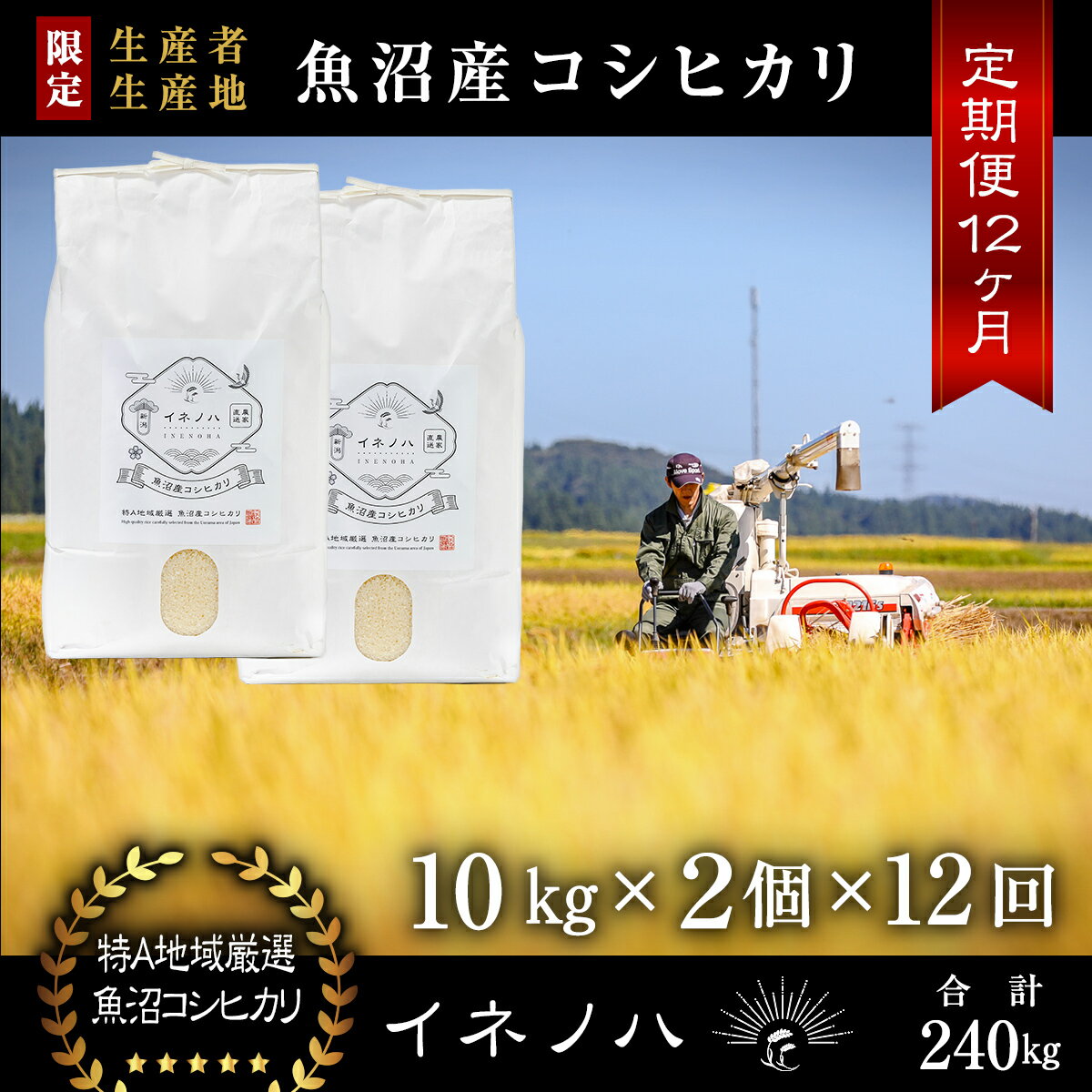 【ふるさと納税】＜定期便・全12回＞【令和5年産】魚沼産コシヒカリ「イネノハ 」精米(10kg×2)×12回　【定期便・お米・コシヒカリ】　お届け：毎月1回、全12回お届けします