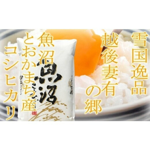 【ふるさと納税】●定期便●【雪国逸品15kg×12ヶ月】 越後妻有の郷 魚沼十日町産コシヒカリ お米 精米 白米 良質 ミネラル 極上 新鮮 香り つや 粘り 　お届け：2025年10月下旬以降