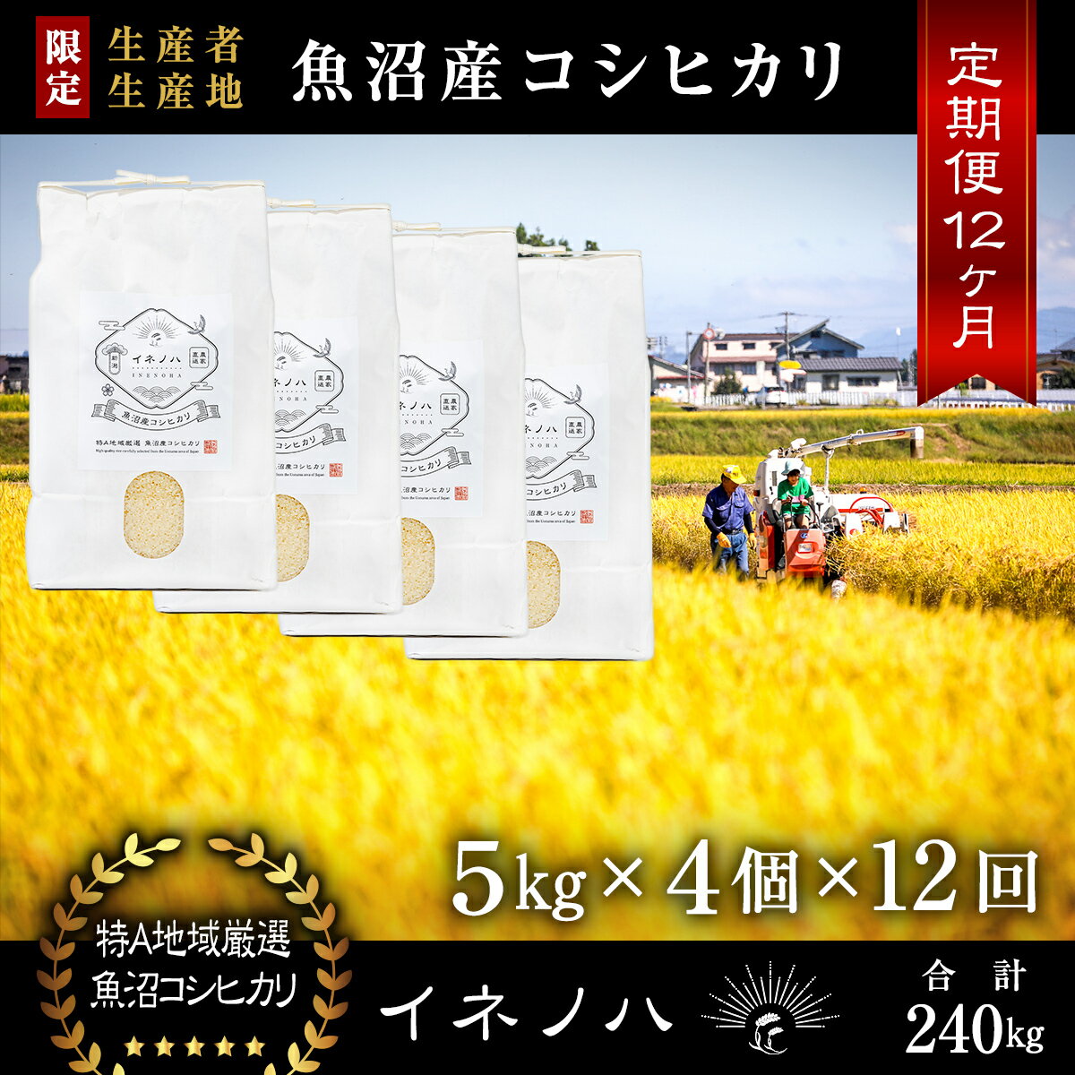 【ふるさと納税】＜定期便・全12回＞【令和5年産】魚沼産コシヒカリ「イネノハ 」精米(5kg×4)×12回　【定期便・ お米 白米 ご飯 産地直送 ミネラル 栄養分 こだわり 人気 新鮮 】　お届け：毎月1回、全12回お届けします