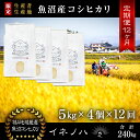 11位! 口コミ数「0件」評価「0」＜定期便・全12回＞【令和5年産】魚沼産コシヒカリ「イネノハ 」精米(5kg×4)×12回　【定期便・ お米 白米 ご飯 産地直送 ミネラル･･･ 