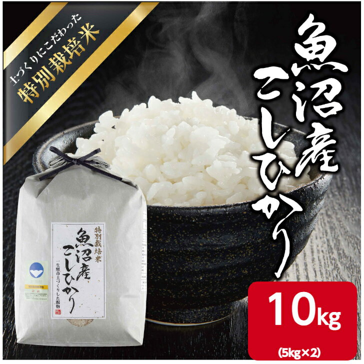 37位! 口コミ数「0件」評価「0」魚沼産 コシヒカリ 特別栽培米 10kg（5kg×2） 米 こしひかり お米 コメ 新潟 魚沼 魚沼産 白米 送料無料 新潟県産 精米 産直･･･ 