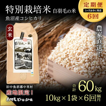 【通年受付】≪令和5年産≫【定期便／1ヶ月おき全6回】農家直送！魚沼産コシヒカリ特別栽培「白羽毛の米」玄米(10kg×1袋)×6回 60kg　【定期便・ お米 白米 安心　】