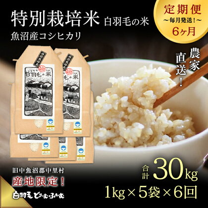 【通年受付】≪令和5年産≫【定期便／全6回】農家直送！魚沼産コシヒカリ特別栽培「白羽毛の米」精米5kg(1kg×5袋)×6回 計30kg　【定期便・ お米 】　お届け：10月01日から発送開始。通年受付にて、月1回全6回お届けいたします。