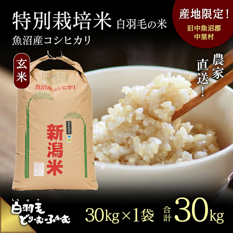 [通年受付]≪令和5年産≫ 農家直送!魚沼産コシヒカリ特別栽培「白羽毛の米」玄米(30kg×1袋) 30kg [ お米 ご飯 安心 ] お届け:順次発送