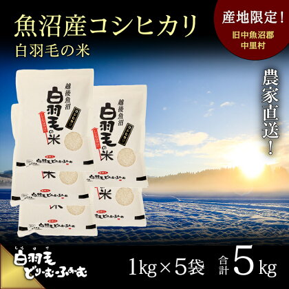 【通年受付】≪令和5年産≫　農家直送！魚沼産コシヒカリ「白羽毛の米」精米 (1kg×5袋) 5kg　【 お米 白米 ご飯 】　お届け：10月01日発送開始。通年受付にてお届けします。